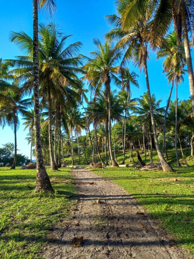 Pousada Beija Flor - Ilha Boipeba Velha Boipeba Luaran gambar